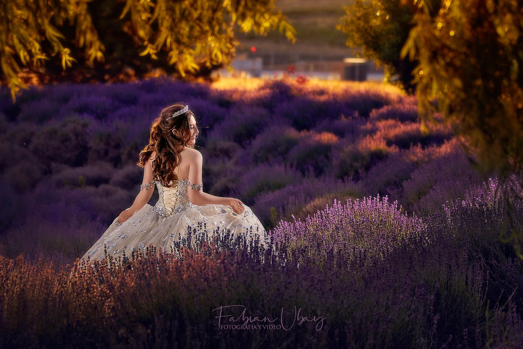 Quinceañera en lavanda — Fabian Ubay Fotografía y Video